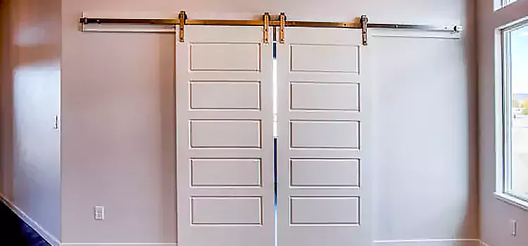 Glass Barn Door with Installation Hardware Kit Warwick